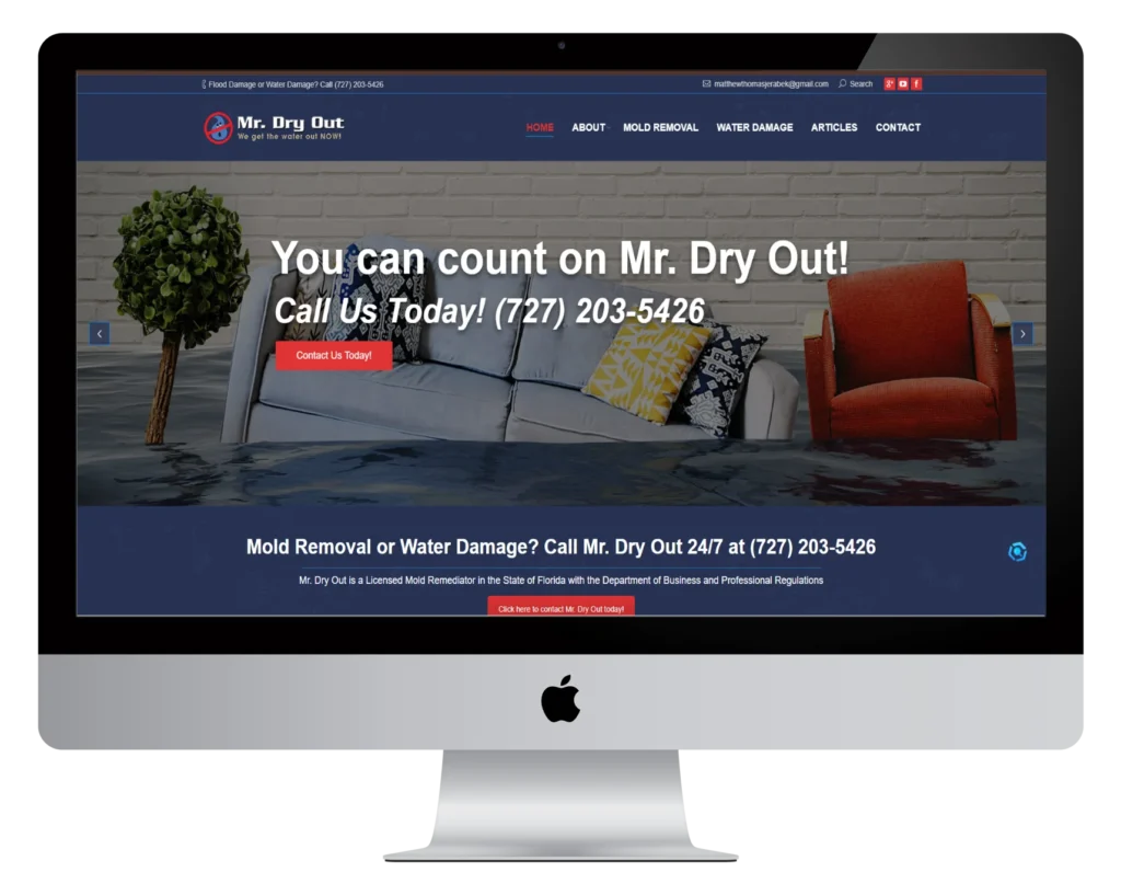 Mr Dry Out